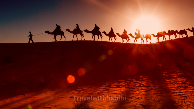 Desert Safari Dubai-Travelwithhabibi